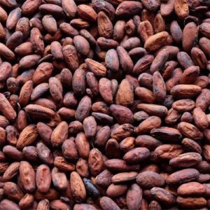 Cocoa