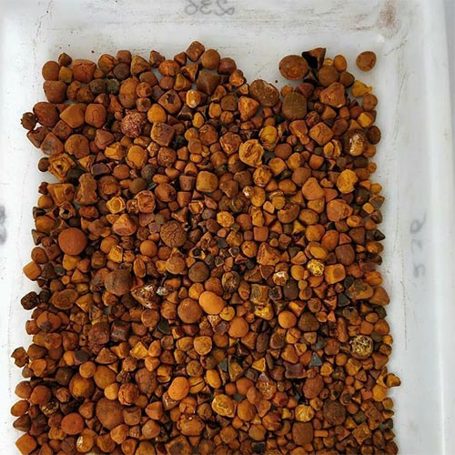 Cow Gallstone