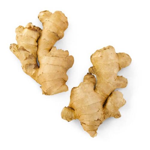 Ginger