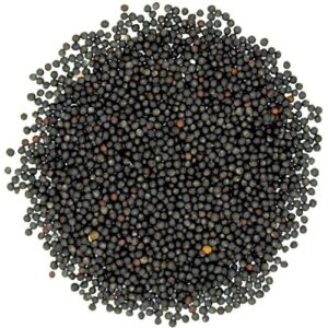 Rapeseed