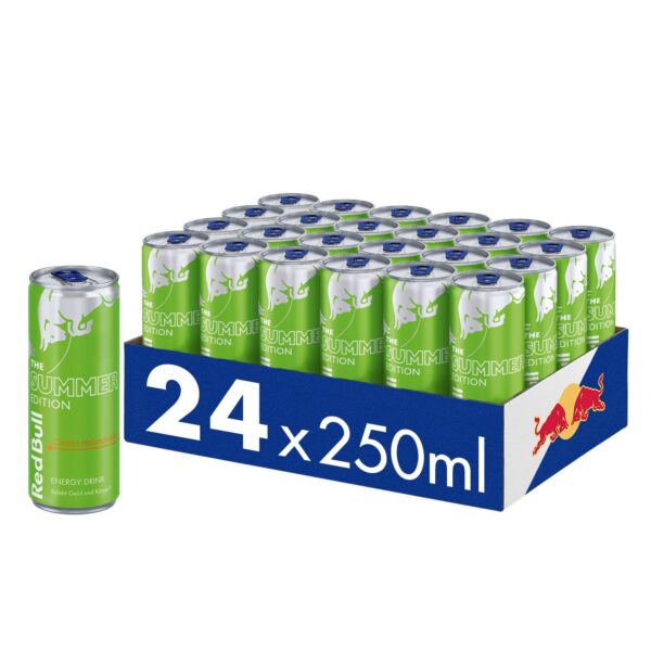 Red Bull Summer Edition Curuba 250ml