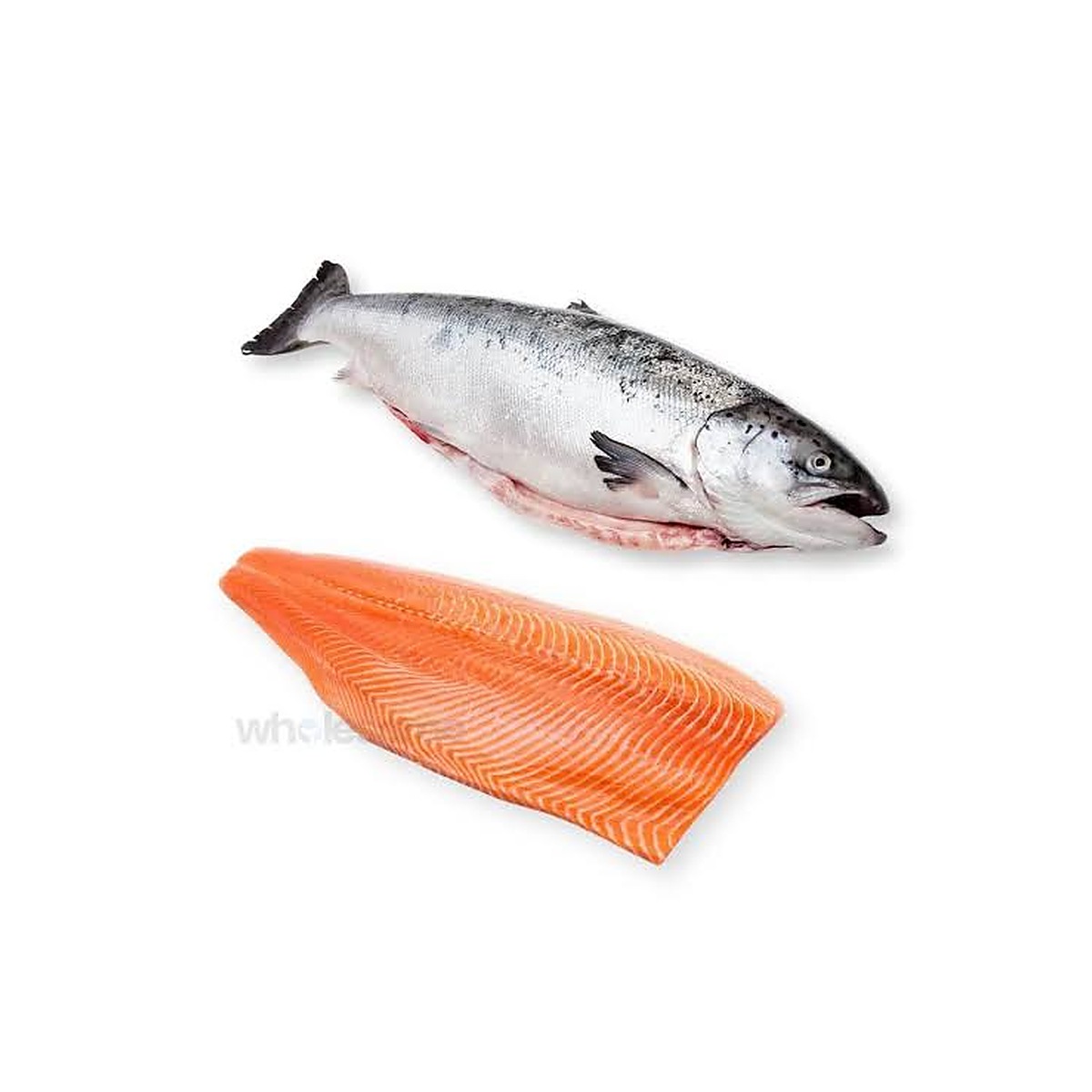 Seafood wholesale supply