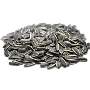 Sunflower Seed