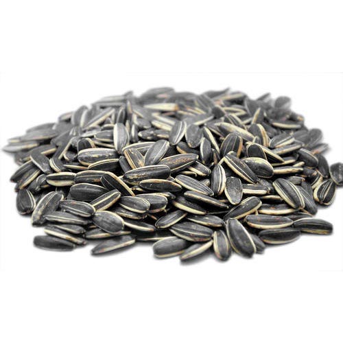 Sunflower Seed