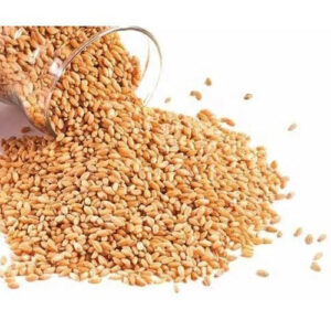 Wheat