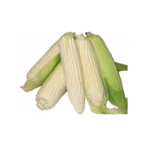 white Corn