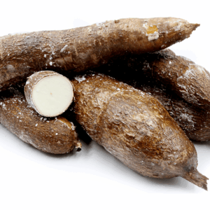 Cassava