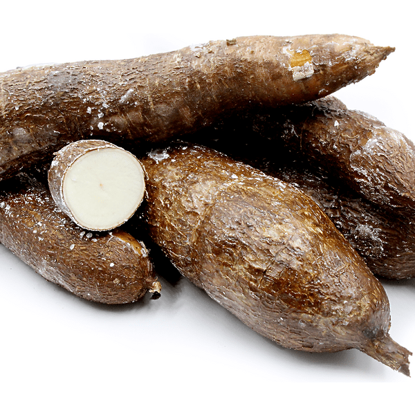 Cassava