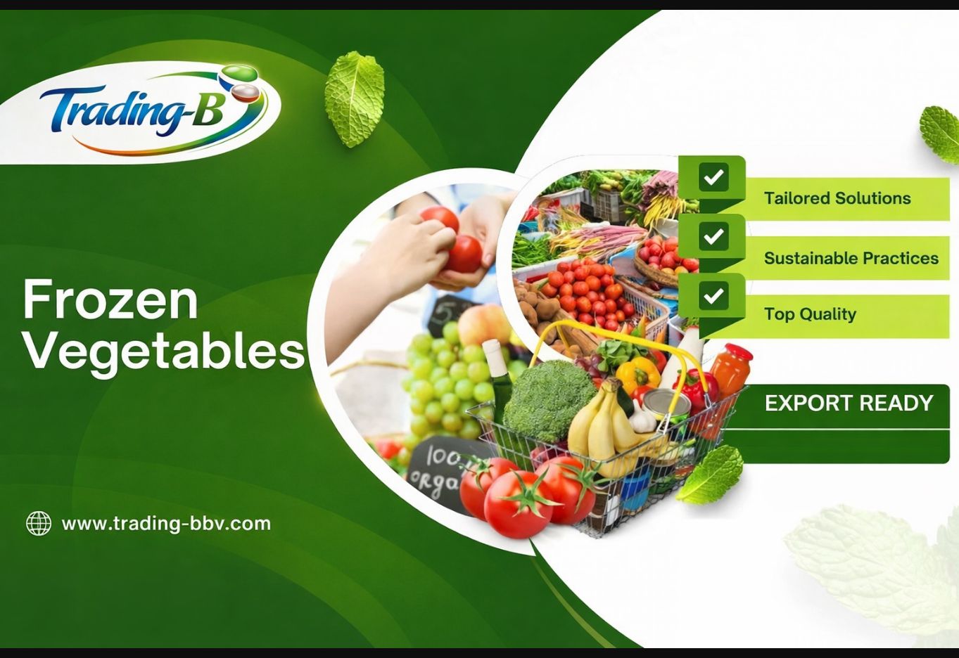 Vegetables wholesale supply